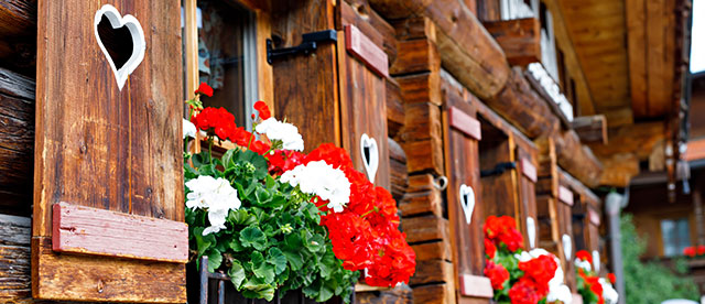 Holzhütte mit Blumen